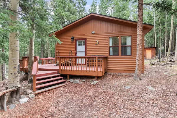 31 Aspen Loop RD, Idaho Springs, CO 80452