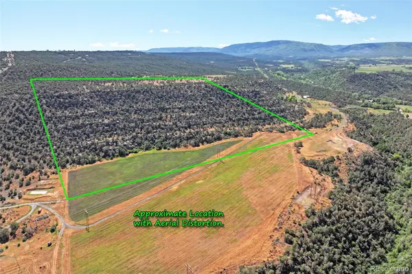 5402 KE2 RD, Collbran, CO 81624