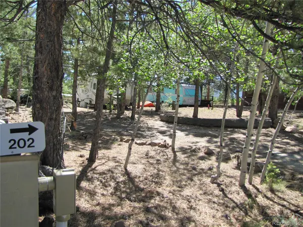 19 Lantern LOOP, Hartsel, CO 80449
