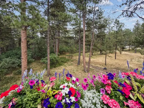 1240 Hoosier DR, Larkspur, CO 80118