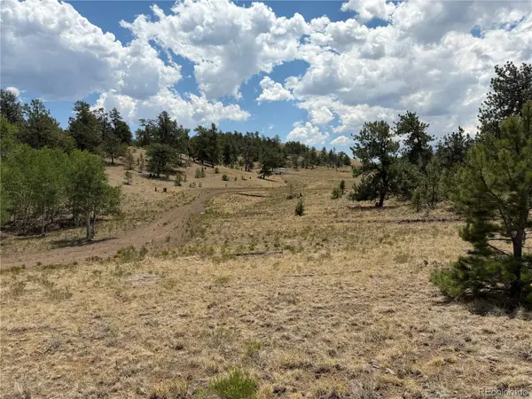 832 Ahlers LN, Hartsel, CO 80449