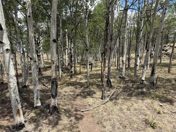832 Ahlers LN, Hartsel, CO 80449