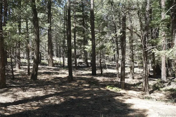 616 Indian Creek RD, Florissant, CO 80816