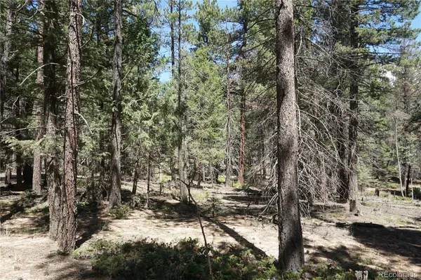 616 Indian Creek RD, Florissant, CO 80816