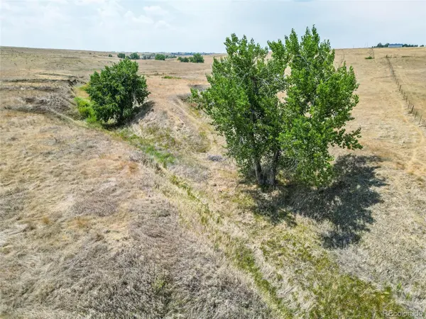 Parcel 7 Last Dart Road, Kiowa, CO 80117