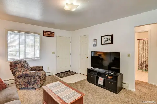 329 Crossman Ave, Buena Vista, CO 81211