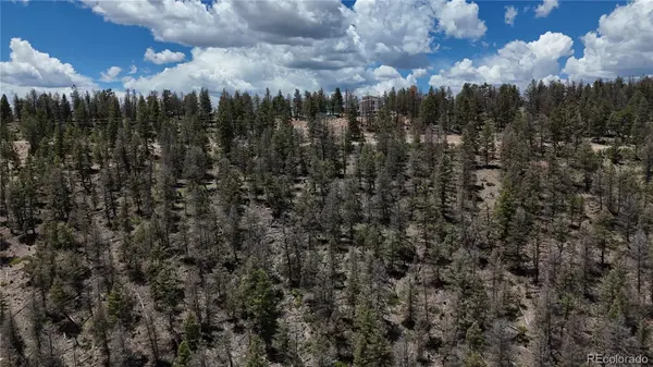 1396 Middle Fork VIS, Fairplay, CO 80440