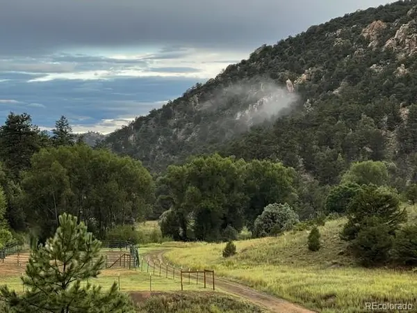 1420 Coyote RUN, Cotopaxi, CO 81223