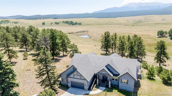 407 Silvermoon HTS, Divide, CO 80814