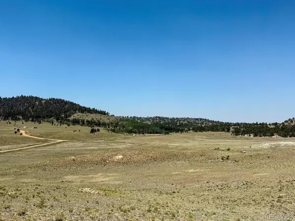609 Commanche, Hartsel, CO 80449