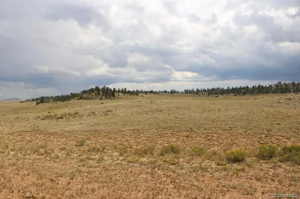 389 Chipita TRL, Hartsel, CO 80449