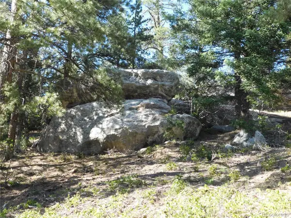 5884 Seminole TRL, Larkspur, CO 80118