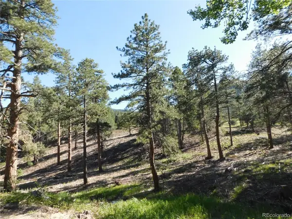 5884 Seminole TRL, Larkspur, CO 80118