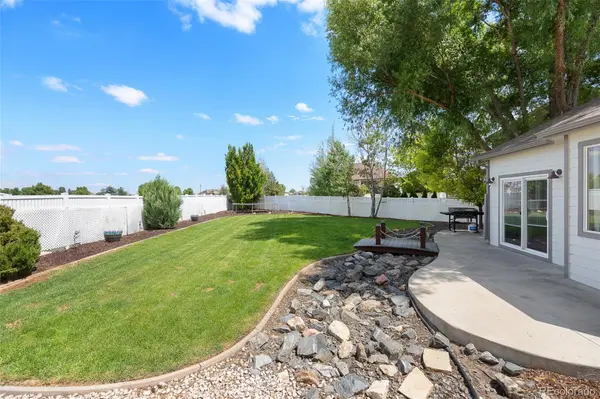 563 Kenai CT, Windsor, CO 80550