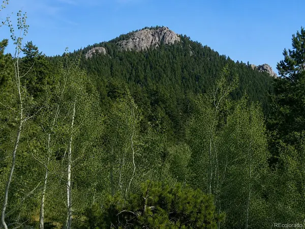 11957 Elk Trail RD, Conifer, CO 80433