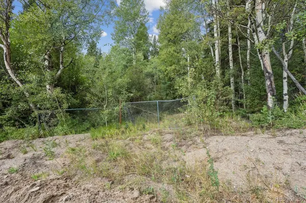 001 Fall River RD, Idaho Springs, CO 80452