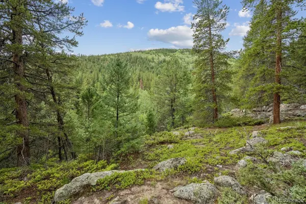 001 Fall River RD, Idaho Springs, CO 80452
