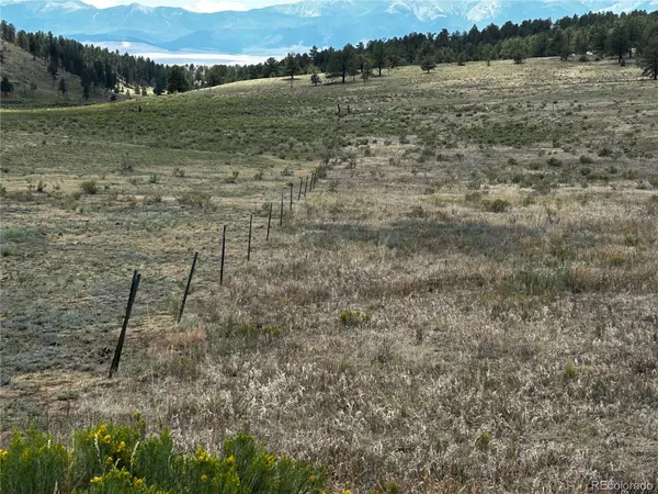525 County Road 321, Westcliffe, CO 81252