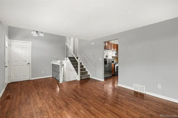 1147 W 95th PL, Denver, CO 80260