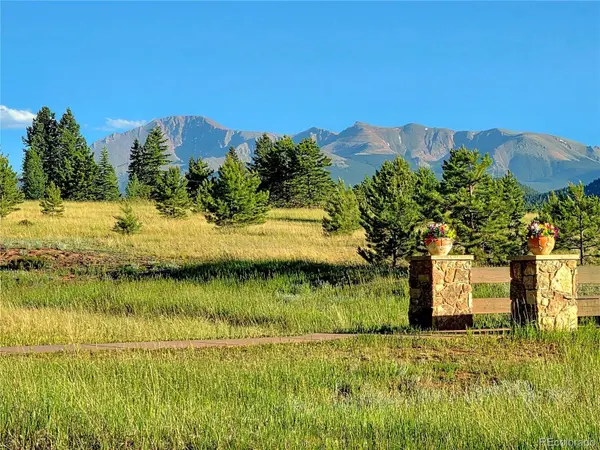 584 Sourdough RD, Woodland Park, CO 80863