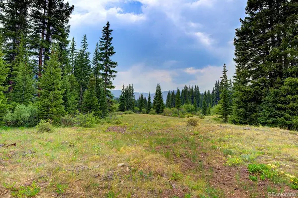 9562 CO RD 18, Fairplay, CO 80440