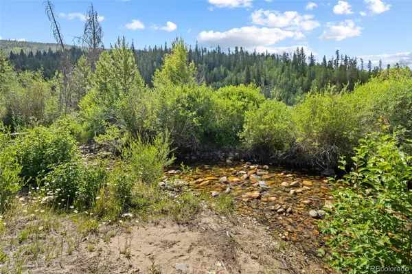 1054 Straight Creek DR, Dillon, CO 80435