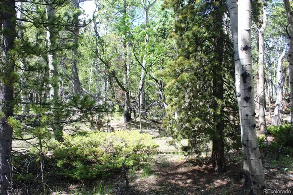 6050 Virginia Canyon RD, Central City, CO 80427