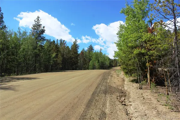 6050 Virginia Canyon RD, Central City, CO 80427
