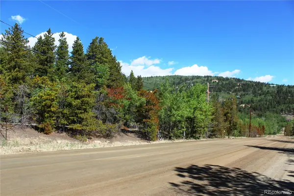6050 Virginia Canyon RD, Central City, CO 80427