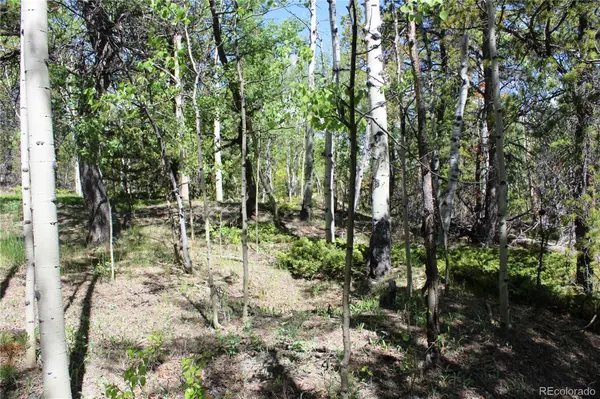 6050 Virginia Canyon RD, Central City, CO 80427