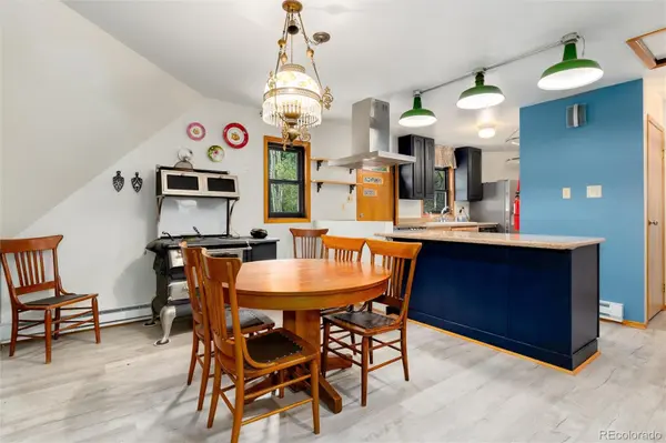 403 Fall River RD, Idaho Springs, CO 80452