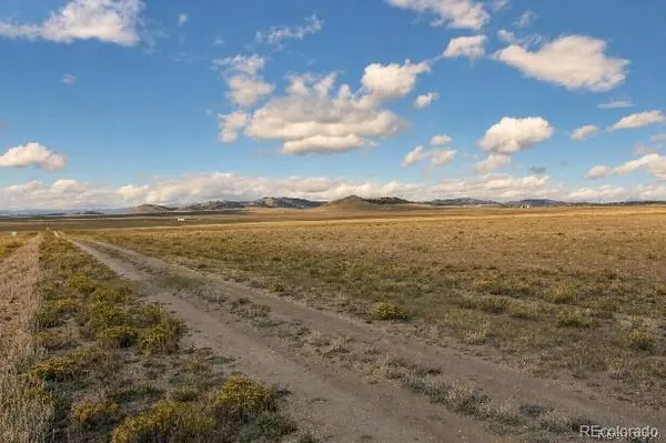 6065 Moffat RD, Hartsel, CO 80449