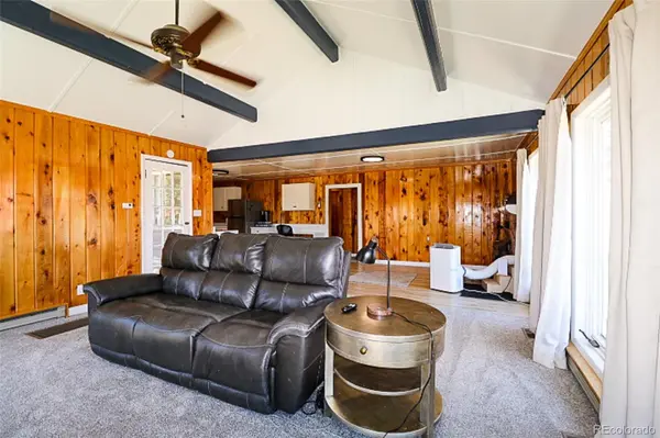 731 Midland CT, Lake George, CO 80827