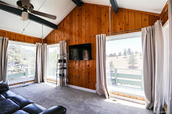 731 Midland CT, Lake George, CO 80827