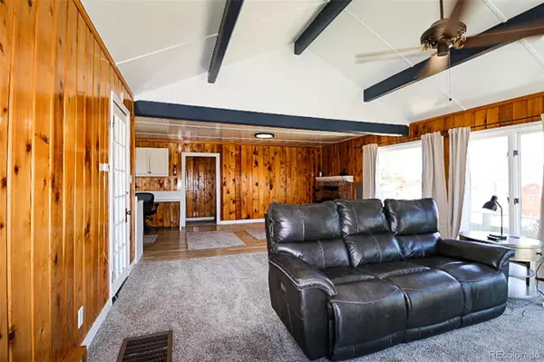 731 Midland CT, Lake George, CO 80827