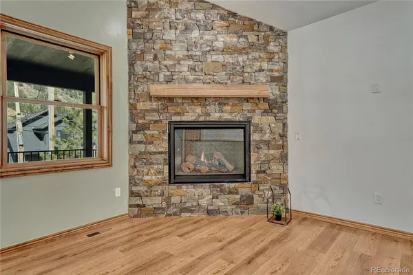 1114 Griffith ST, Georgetown, CO 80444