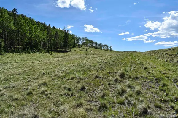 000 Bear Cat RD, Guffey, CO 80820