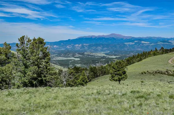 000 Bear Cat RD, Guffey, CO 80820