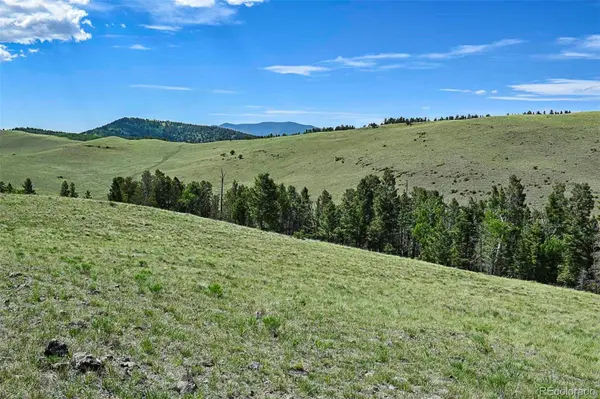 000 Bear Cat RD, Guffey, CO 80820