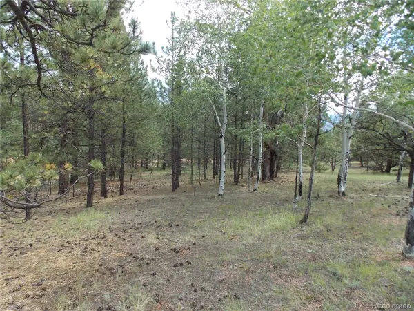 738 Black Mesa CIR, Florissant, CO 80816