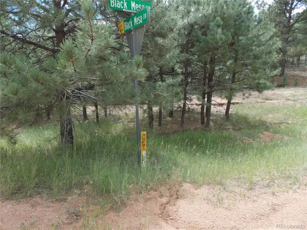 738 Black Mesa CIR, Florissant, CO 80816