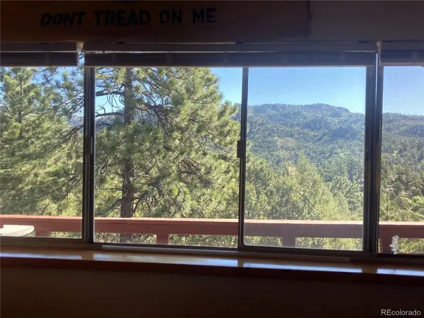 136 Burnt Timber CIR, Cotopaxi, CO 81223