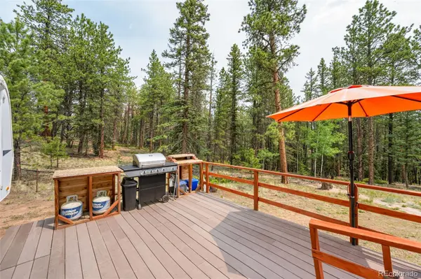 1459 Conestoga Creek RD, Florissant, CO 80816