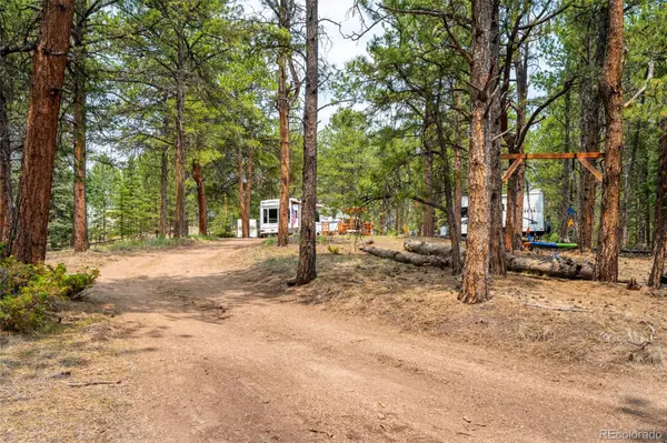 1459 Conestoga Creek RD, Florissant, CO 80816