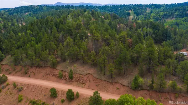 229 Vivenda RD, Cripple Creek, CO 80813