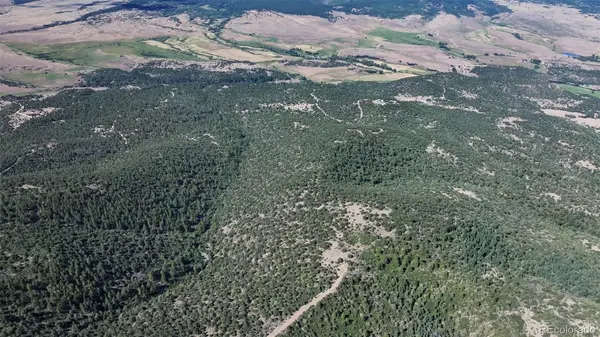 838 Ridgeway RD, Cotopaxi, CO 81223