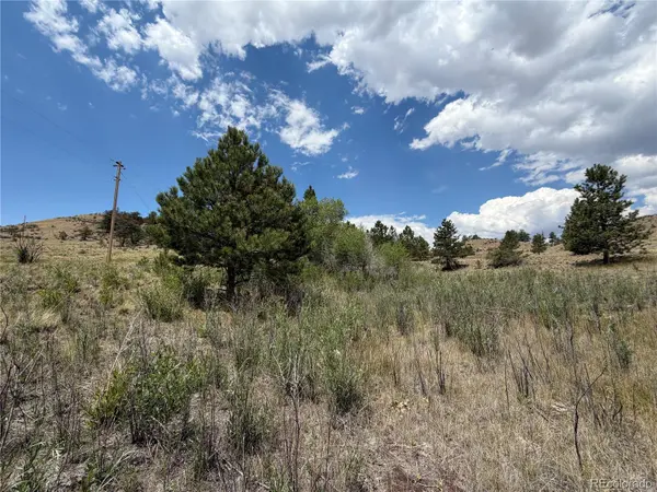 0 Trout ST, Hartsel, CO 80449