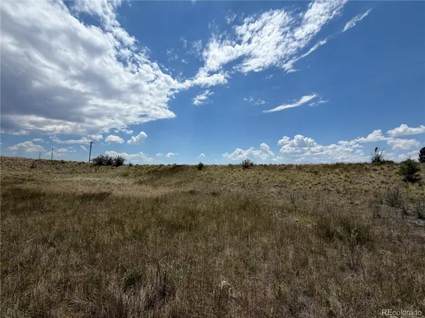 0 Trout ST, Hartsel, CO 80449