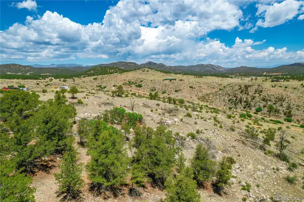 896 Shannon TRL, Cotopaxi, CO 81223