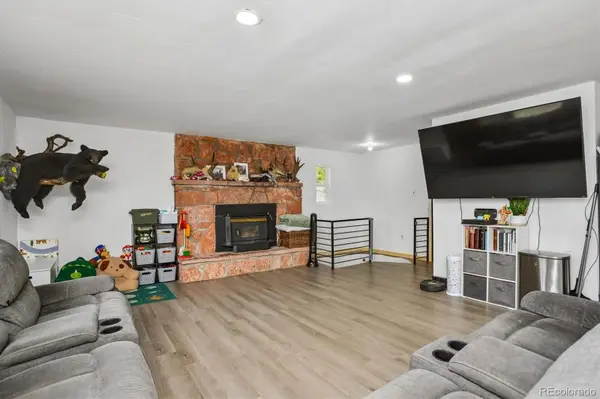 293 La Plata Peak DR, Twin Lakes, CO 81251